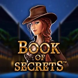 Official Slots logo: Book of Secrets by SYNOT Games at Bassbet Casino