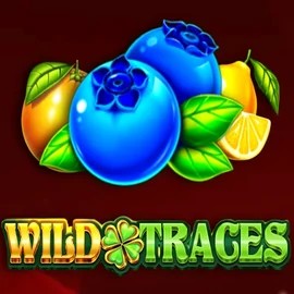 Wild Traces slot visual from Amusnet Interactive available on basssbet.com